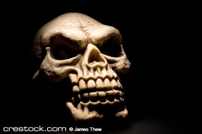 close up shot of an Evil Skull...